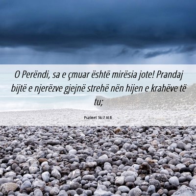 Picture 06 - Psalmet 36:7 ALB - O Perëndi, sa e çmuar është mirësia jote! - Bible Verse Picture