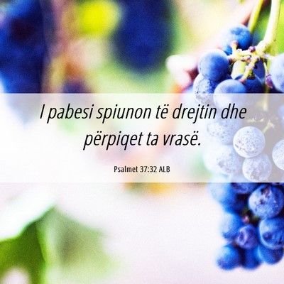 Picture 06 - Psalmet 37:32 ALB - I pabesi spiunon të drejtin dhe përpiqet ta - Bible Verse Picture