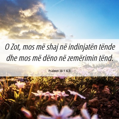 Picture 06 - Psalmet 38:1 ALB - O Zot, mos më shaj në indinjatën tënde dhe - Bible Verse Picture