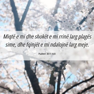 Picture 06 - Psalmet 38:11 ALB - Miqtë e mi dhe shokët e mi rrinë larg plagës - Bible Verse Picture
