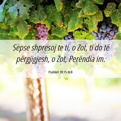 Picture 06 - Psalmet 38:15 ALB - Sepse shpresoj te ti, o Zot, ti do të - Bible Verse Picture