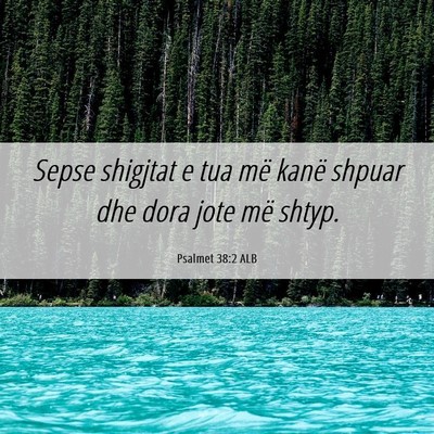 Picture 06 - Psalmet 38:2 ALB - Sepse shigjtat e tua më kanë shpuar dhe dora - Bible Verse Picture