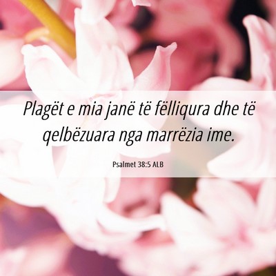 Picture 06 - Psalmet 38:5 ALB - Plagët e mia janë të fëlliqura dhe të - Bible Verse Picture
