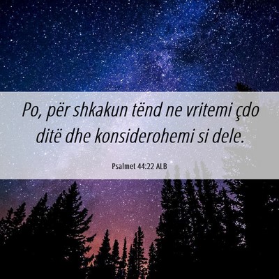 Picture 06 - Psalmet 44:22 ALB - Po, për shkakun tënd ne vritemi çdo ditë dhe - Bible Verse Picture