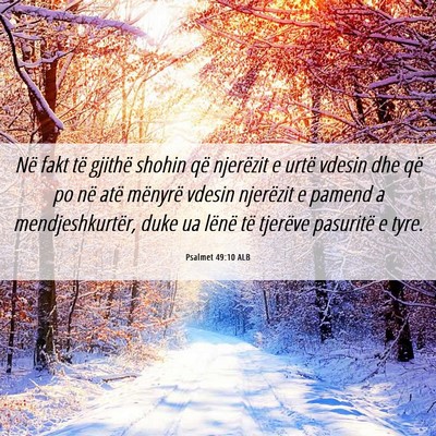 Picture 06 - Psalmet 49:10 ALB - Në fakt të gjithë shohin që njerëzit e urtë - Bible Verse Picture