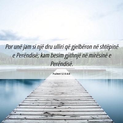 Picture 06 - Psalmet 52:8 ALB - Por unë jam si një dru ulliri që gjelbëron - Bible Verse Picture