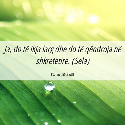 Picture 06 - Psalmet 55:7 ALB - Ja, do të ikja larg dhe do të qëndroja në - Bible Verse Picture