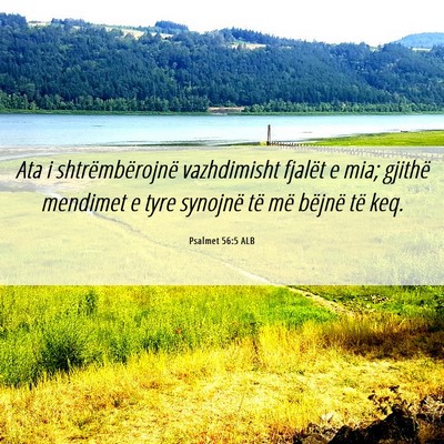 Picture 06 - Psalmet 56:5 ALB - Ata i shtrëmbërojnë vazhdimisht fjalët e mia; - Bible Verse Picture
