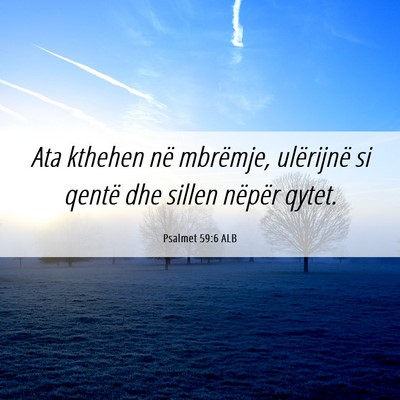Picture 06 - Psalmet 59:6 ALB - Ata kthehen në mbrëmje, ulërijnë si qentë - Bible Verse Picture