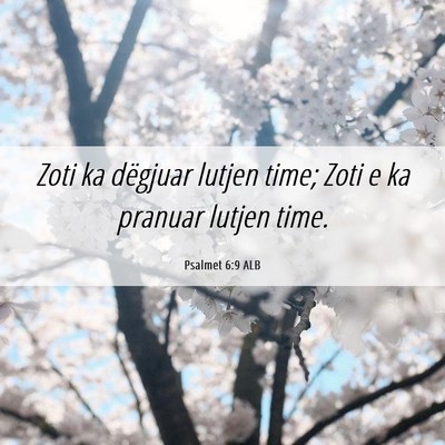 Picture 06 - Psalmet 6:9 ALB - Zoti ka dëgjuar lutjen time; Zoti e ka pranuar - Bible Verse Picture
