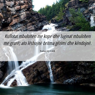 Picture 06 - Psalmet 65:13 ALB - Kullotat mbulohen me kope dhe luginat mbulohen me - Bible Verse Picture