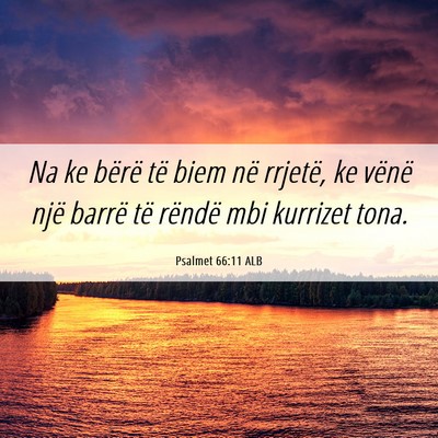 Picture 06 - Psalmet 66:11 ALB - Na ke bërë të biem në rrjetë, ke vënë një - Bible Verse Picture