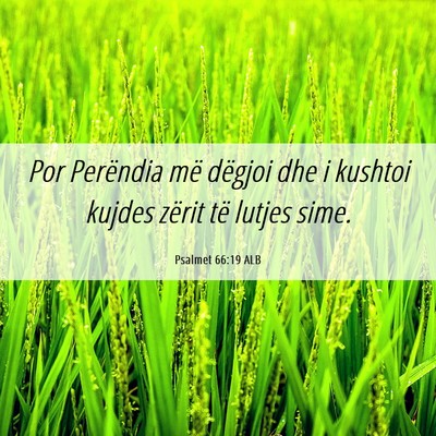 Picture 06 - Psalmet 66:19 ALB - Por Perëndia më dëgjoi dhe i kushtoi kujdes - Bible Verse Picture