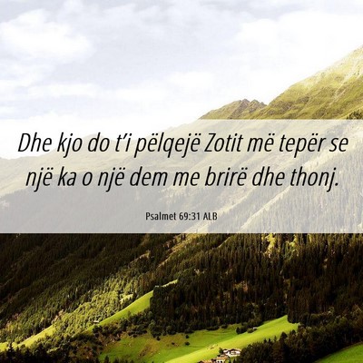 Picture 06 - Psalmet 69:31 ALB - Dhe kjo do t’i pëlqejë Zotit më tepër se - Bible Verse Picture