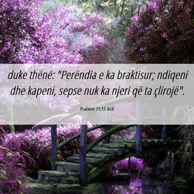 Picture 06 - Psalmet 71:11 ALB - duke thënë: 