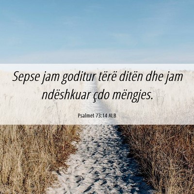 Picture 06 - Psalmet 73:14 ALB - Sepse jam goditur tërë ditën dhe jam - Bible Verse Picture