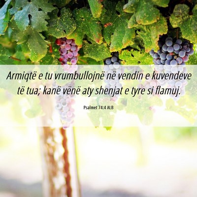 Picture 06 - Psalmet 74:4 ALB - Armiqtë e tu vrumbullojnë në vendin e - Bible Verse Picture
