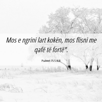 Picture 06 - Psalmet 75:5 ALB - Mos e ngrini lart kokën, mos flisni me qafë të - Bible Verse Picture