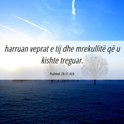 Picture 06 - Psalmet 78:11 ALB - harruan veprat e tij dhe mrekullitë që u kishte - Bible Verse Picture