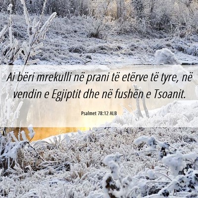 Picture 06 - Psalmet 78:12 ALB - Ai bëri mrekulli në prani të etërve të tyre, - Bible Verse Picture
