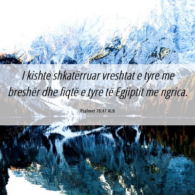 Picture 06 - Psalmet 78:47 ALB - I kishte shkatërruar vreshtat e tyre me breshër - Bible Verse Picture