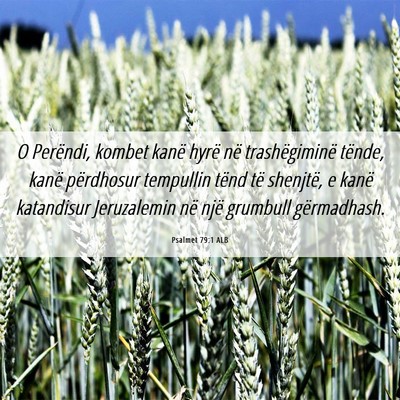 Picture 06 - Psalmet 79:1 ALB - O Perëndi, kombet kanë hyrë në trashëgiminë - Bible Verse Picture