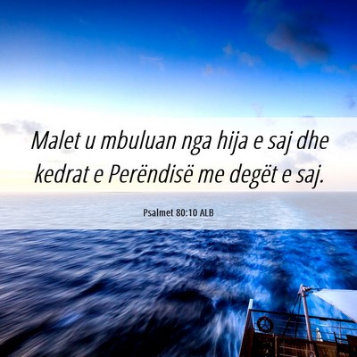 Picture 06 - Psalmet 80:10 ALB - Malet u mbuluan nga hija e saj dhe kedrat e - Bible Verse Picture