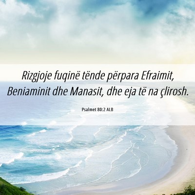 Picture 06 - Psalmet 80:2 ALB - Rizgjoje fuqinë tënde përpara Efraimit, - Bible Verse Picture