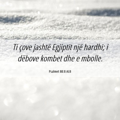 Picture 06 - Psalmet 80:8 ALB - Ti çove jashtë Egjiptit një hardhi; i dëbove - Bible Verse Picture