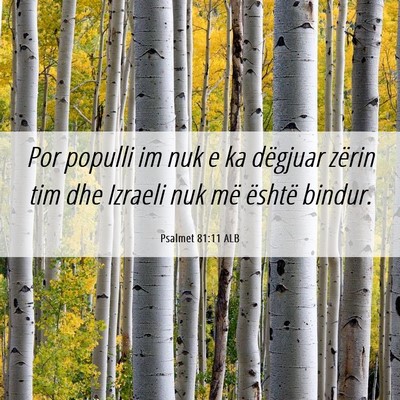 Picture 06 - Psalmet 81:11 ALB - Por populli im nuk e ka dëgjuar zërin tim dhe - Bible Verse Picture