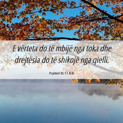 Picture 06 - Psalmet 85:11 ALB - E vërteta do të mbijë nga toka dhe drejtësia - Bible Verse Picture
