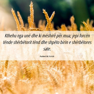 Picture 06 - Psalmet 86:16 ALB - Kthehu nga unë dhe ki mëshirë për mua; jepi - Bible Verse Picture