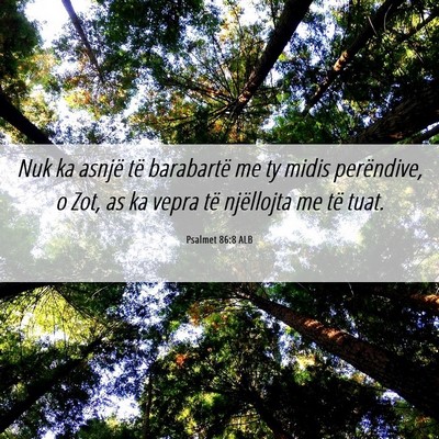 Picture 06 - Psalmet 86:8 ALB - Nuk ka asnjë të barabartë me ty midis - Bible Verse Picture
