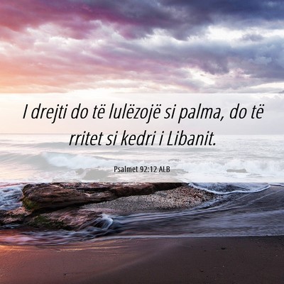 Picture 06 - Psalmet 92:12 ALB - I drejti do të lulëzojë si palma, do të - Bible Verse Picture
