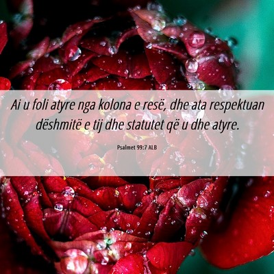 Picture 06 - Psalmet 99:7 ALB - Ai u foli atyre nga kolona e resë, dhe ata - Bible Verse Picture