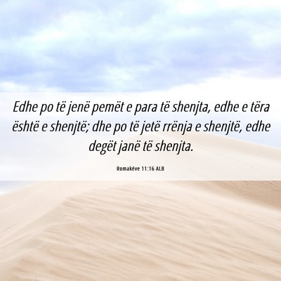 Picture 06 - Romakëve 11:16 ALB - Edhe po të jenë pemët e para të shenjta, edhe - Bible Verse Picture