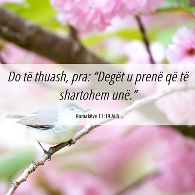 Picture 06 - Romakëve 11:19 ALB - Do të thuash, pra: “Degët u prenë që të - Bible Verse Picture