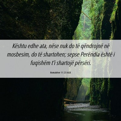Picture 06 - Romakëve 11:23 ALB - Kështu edhe ata, nëse nuk do të qëndrojnë - Bible Verse Picture