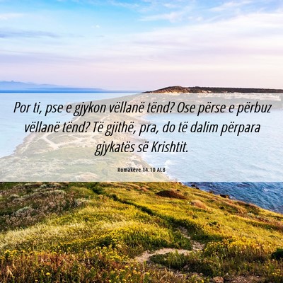 Picture 06 - Romakëve 14:10 ALB - Por ti, pse e gjykon vëllanë tënd? Ose përse - Bible Verse Picture