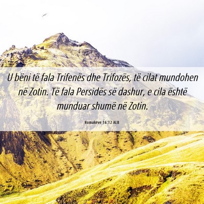 Picture 06 - Romakëve 16:12 ALB - U bëni të fala Trifenës dhe Trifozës, të - Bible Verse Picture