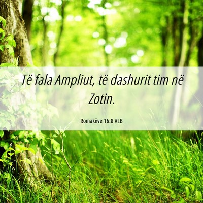 Picture 06 - Romakëve 16:8 ALB - Të fala Ampliut, të dashurit tim në - Bible Verse Picture