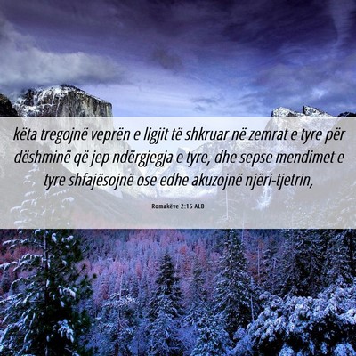 Picture 06 - Romakëve 2:15 ALB - këta tregojnë veprën e ligjit të shkruar në - Bible Verse Picture