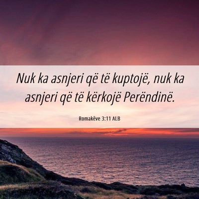 Picture 06 - Romakëve 3:11 ALB - Nuk ka asnjeri që të kuptojë, nuk ka asnjeri - Bible Verse Picture