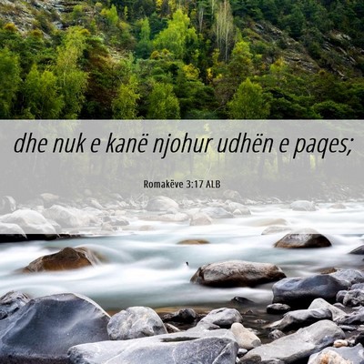 Picture 06 - Romakëve 3:17 ALB - dhe nuk e kanë njohur udhën e - Bible Verse Picture