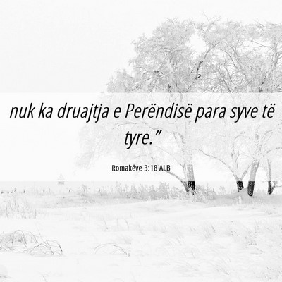 Picture 06 - Romakëve 3:18 ALB - nuk ka druajtja e Perëndisë para syve të - Bible Verse Picture