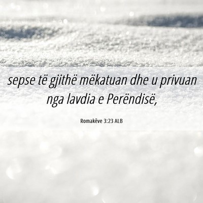 Picture 06 - Romakëve 3:23 ALB - sepse të gjithë mëkatuan dhe u privuan nga - Bible Verse Picture