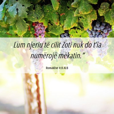 Picture 06 - Romakëve 4:8 ALB - Lum njeriu të cilit Zoti nuk do t’ia - Bible Verse Picture
