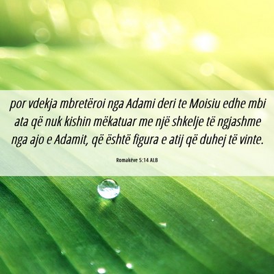 Picture 06 - Romakëve 5:14 ALB - por vdekja mbretëroi nga Adami deri te Moisiu - Bible Verse Picture