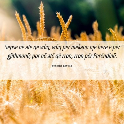 Picture 06 - Romakëve 6:10 ALB - Sepse në atë që vdiq, vdiq për mëkatin një - Bible Verse Picture