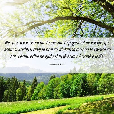 Picture 06 - Romakëve 6:4 ALB - Ne, pra, u varrosëm me të me anë të - Bible Verse Picture